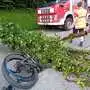 Dieser Baum begrub den Radfahrer unter sich