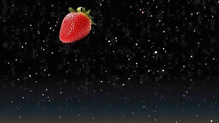 Viel Humor beweist Leser Markus Schöggler: Er hat uns diese "Aufnahme" geschickt, mit der Anmerkung, er sei gestern "extra länger wach geblieben". Gelohnt hat sich das wohl, denn diesen einzigartigen Erdbeermond hat außer Markus Schöggler wohl niemand gesehen.