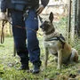 Die Polizei rückte auf der Suche nach der Flüchtigen mit Spürhunden aus