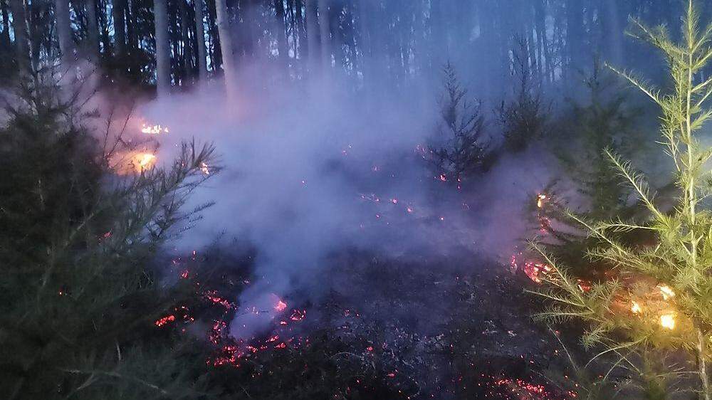 Der Brand im Wienerwald konnte mittlerweile wieder gelöscht werden