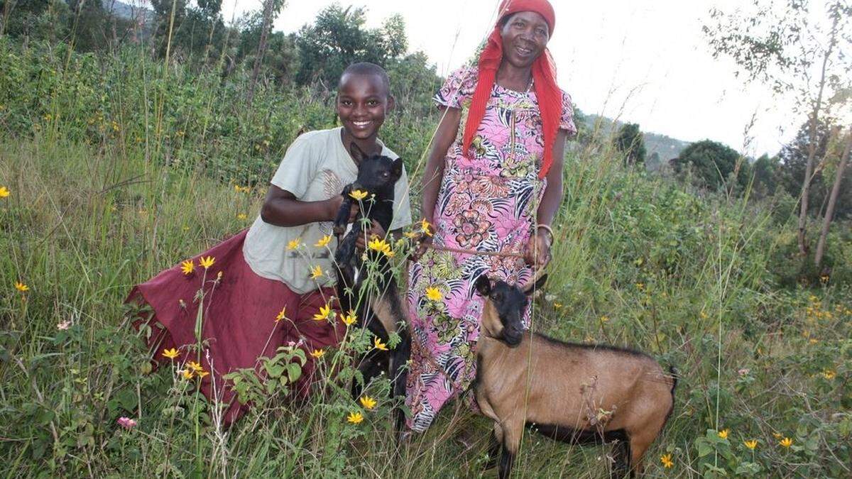 Ziegen sind nicht nur freundlich, sie schaffen in afrikanischen Ländern Lebensgrundlagen