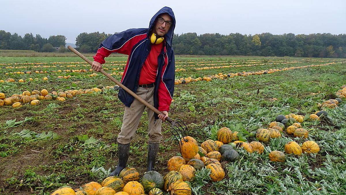 Bauer Wilfried Lackner ist zufrieden mit der Ernte, der Regen machte ihm aber zu schaffen