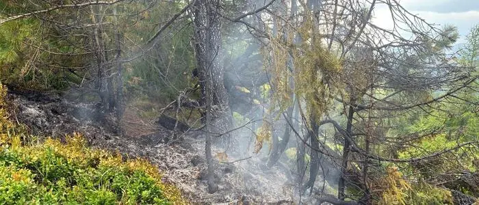 Ein Blitzschlag dürfte das Feuer im abgelegenen Gebiet ausgelöst haben