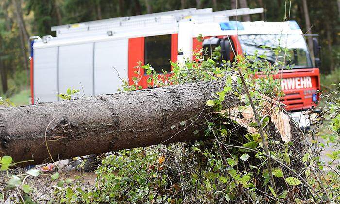 Die Feuerwehr im Einsatz zur Beseitigung umgestürzter Bäume in Roitham (Bezirk Gmunden)
