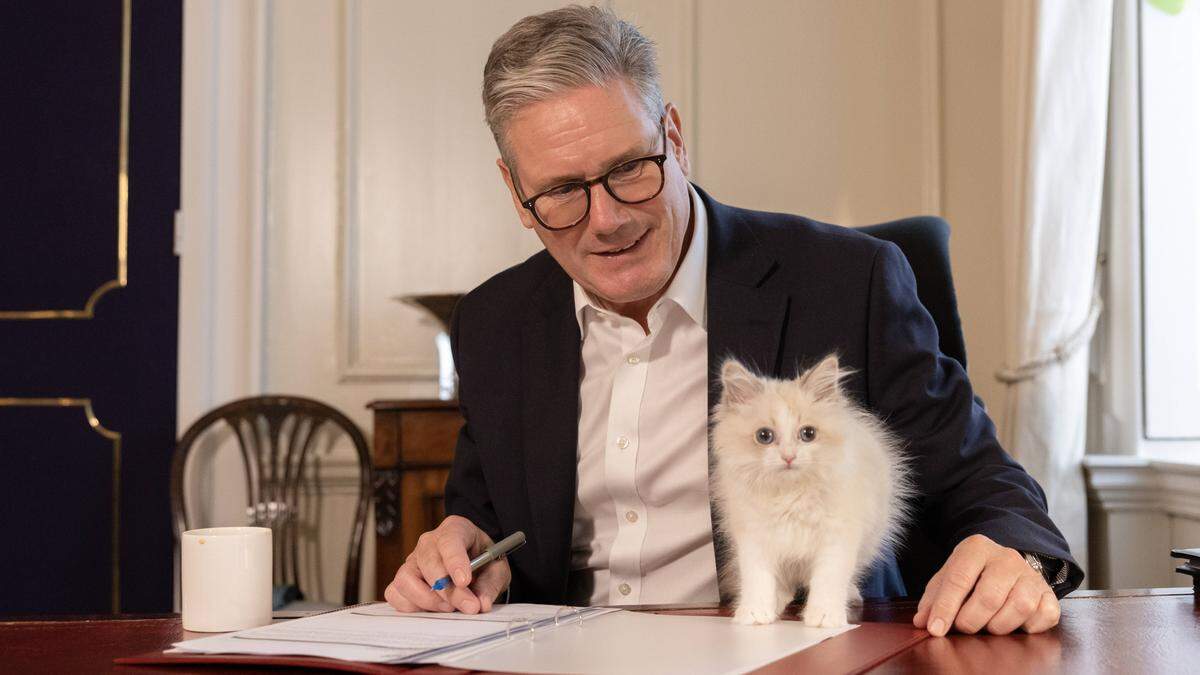 Keir und Regierungskätzchen Prince in der Downing Street 10