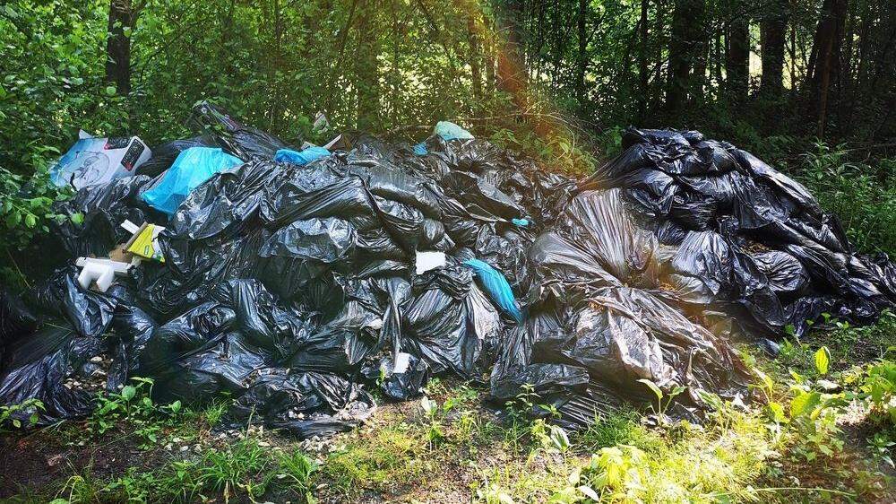 Die Müllsäcke wurden 10, 15 Meter von der Straße weg im Wald gefunden