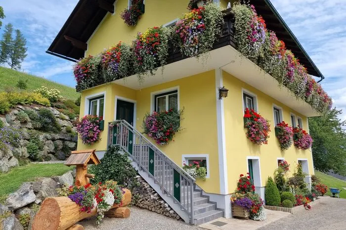 Haus und Hof im Blütenmeer bei Johanna Hasler vlg. Freitag in Pölstal