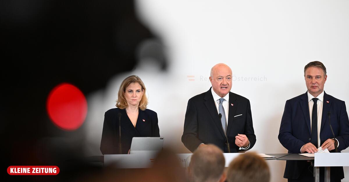 Politik intern: Warum fast Walfang statt Wehrpflicht zum Thema wurde | Kleine Zeitung