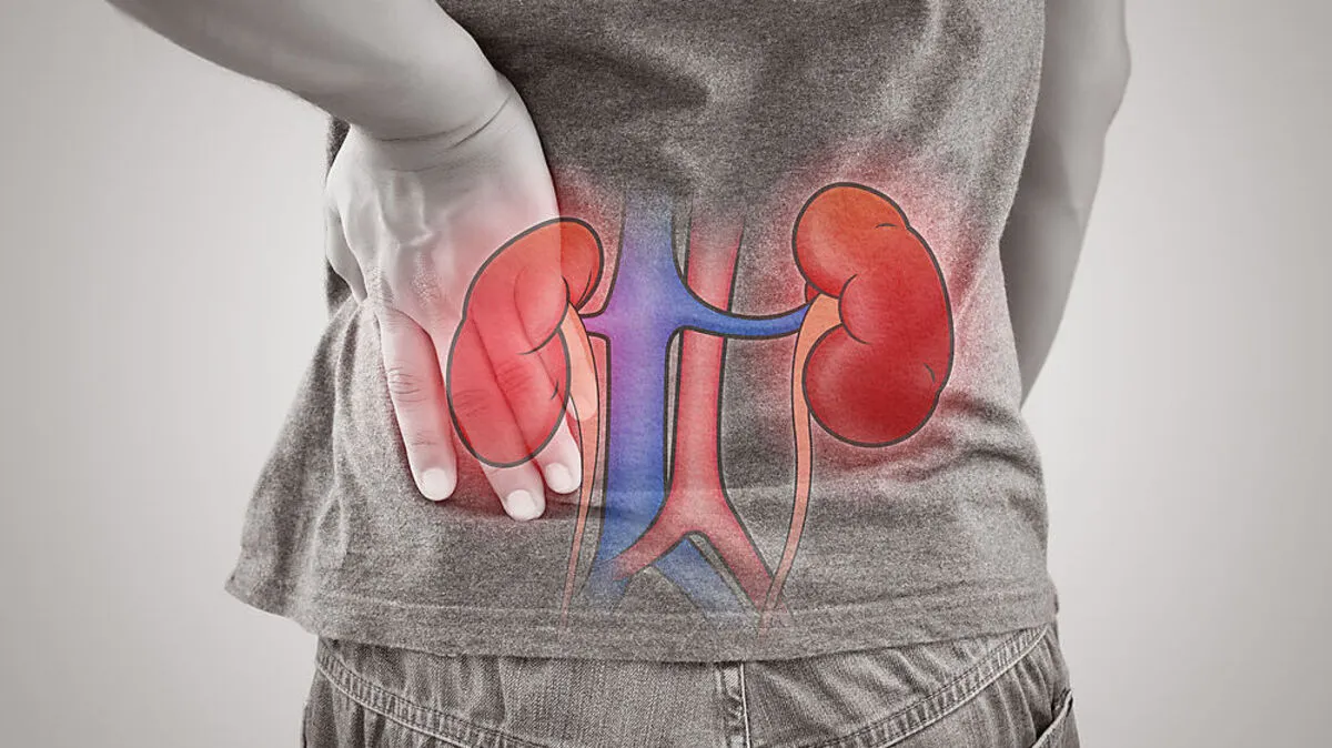 Ausreichend Flüssigkeitszufuhr ist für die Gesundheit der Nieren äußerst wichtig