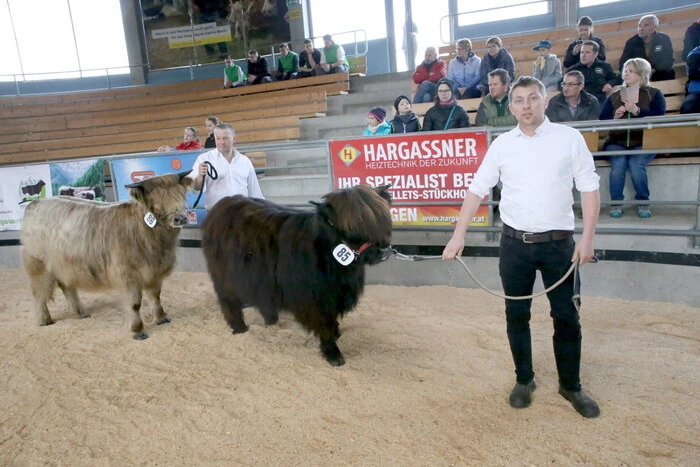 75 Tierhalter aus Osttirol, Steiermark, Oberösterreich, Salzburg sowie Kärnten hatten sich mit 110 Zuchtrindern am Zollfeld eingefunden.