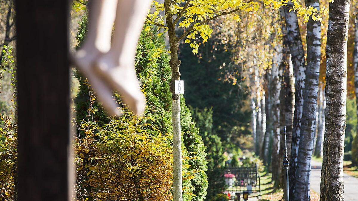 Auf dem Friedhof in Annabichl werden seit einem Jahr Baumbestattungen angeboten