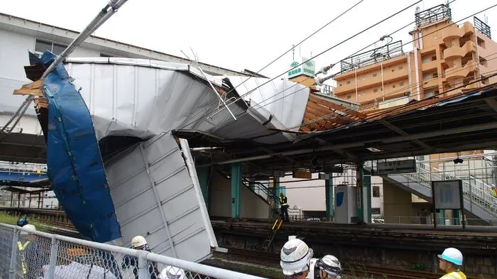 Eine Frau kam ums Leben, mehr als 30 Menschen wurden verletzt, als "Faxai" mit heftigen Windböen durch die japanische Hauptstadt fegte.