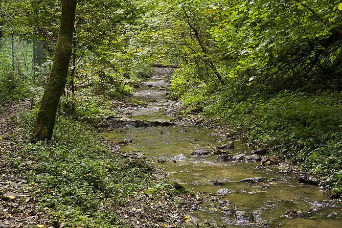 Eine Klamm ist bei Hitze immer der richtige Ort. Graz kann hat mit der Rettenbachklamm ein Kleinod praktisch vor der Haustür.  Vor längerem wurden die Wege saniert, jetzt kann man herrlich mit Wanderschuhen - oder barfuß - durch die Klamm spazieren.
