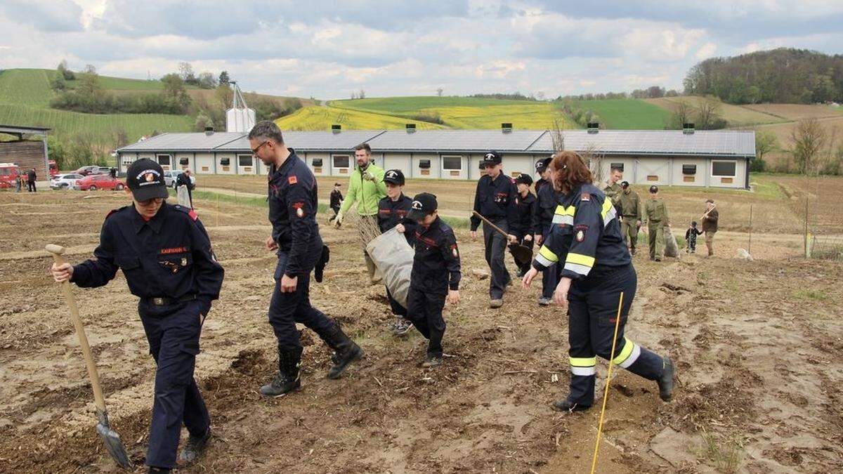 Die Feuerwehrjugend setzte zusammen mit ihren Betreuern 6000 Bäume