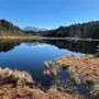 Der Egelsee ist ein besonderes Naturjuwel