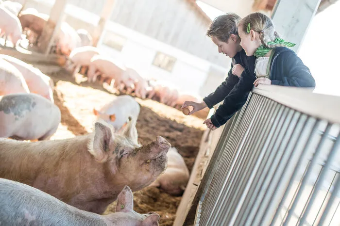Artgerechte Tierhaltung wirkt sich positiv auf den Geschmack aus