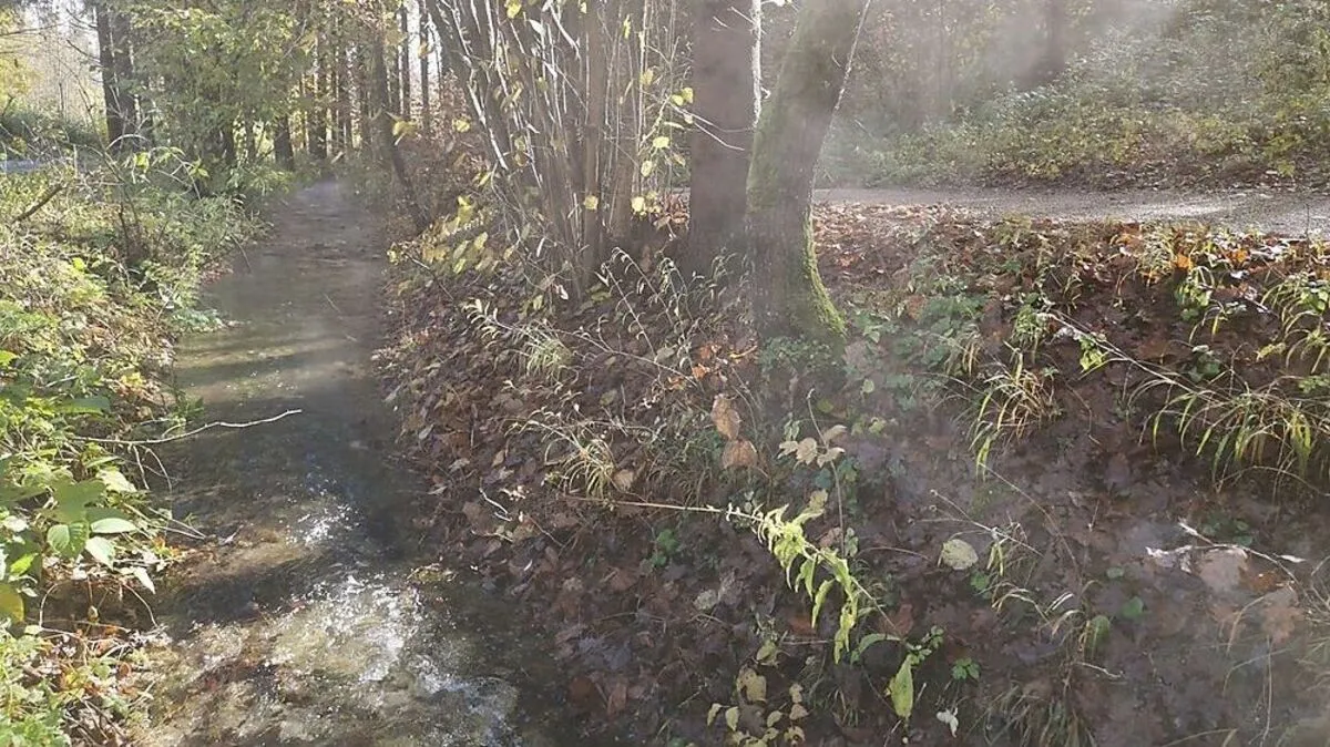 Das warme Maibachl in der herbstlichen Landschaft