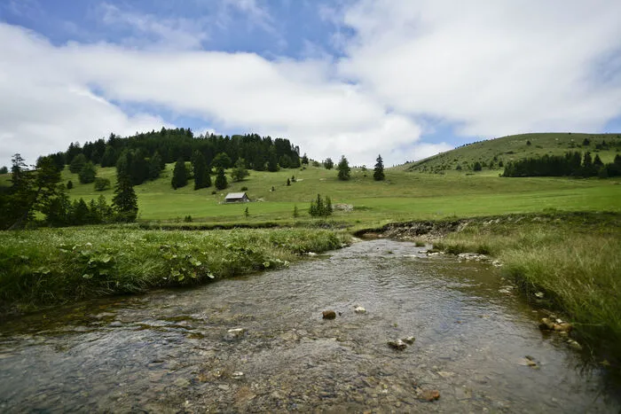 Drei neue Buslinien fahren auf die Teich- bzw. auf die Sommeralm: Die Linie 167 von Bruck an der Mur, die Linie 205 von Weiz und die Linie 216 von Frohnleiten