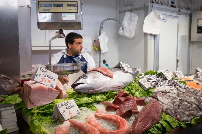 Der frische Fang der Fischhändler am Markt von Cádiz ist auch eine Augenweide. Schinken, Käse und Olivenöl sind feine Mitbringsel.