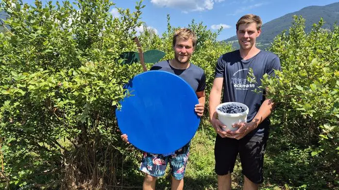 Mario und Patrick Eckmann in ihrem Heidelbeerfeld im Selzthaler Ortsteil Neulassing
