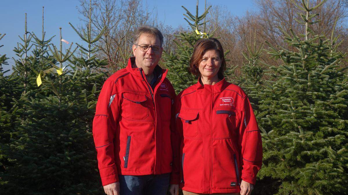 Hannes und Alexandra Paar züchten in Kleinsteinbach Christbäume