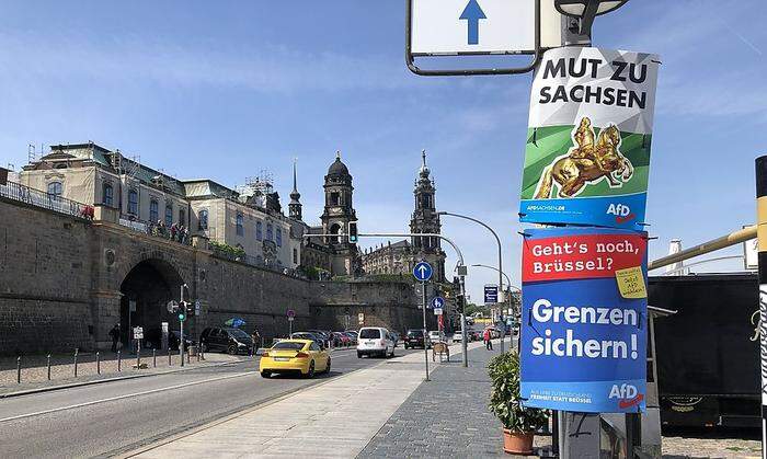 Wahlkampf in Dresden