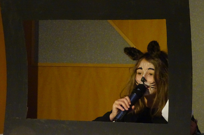 Klicken Sie sich durch weitere Bilder vom Minimusical der Volksschule Weiz!