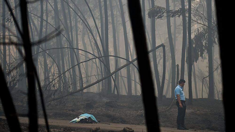 Bei schweren Waldbränden sind im Vorjahr Dutzende Menschen gestorben