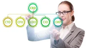Businesswoman in organisation chart concept