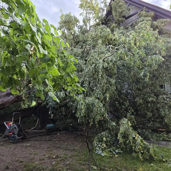 In Mureck krachte ein alter Baum auf ein Haus