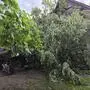 In Mureck krachte ein alter Baum auf ein Haus