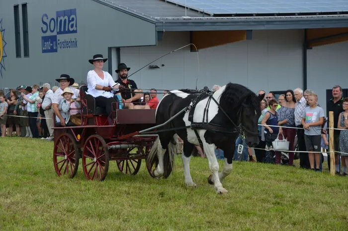 Einen großen Schwerpunkt beim diesjährigen Ägydimarkt bildete eine Pferdeschau mitsamt beieindruckenden Reitvorführungen vom Pferdezuchtverein Oststeiermark, geleitet von Vereinsobmann Robert Glettler. 
