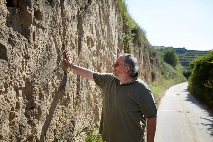Der tiefgründige Löss am Wagram und im Kamptal steht der Rebsorte außerordentlich gut.