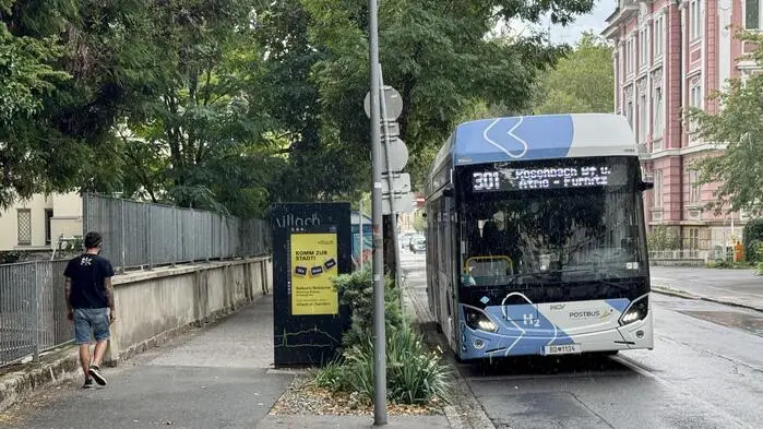 Ein Bus steht in einer Haltestelle, die von Bäumen gesäumt ist