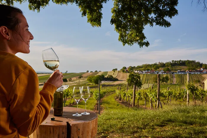 Die Weinviertler Kellergassen: Markenzeichen von Österreichs größtem Weinbaugebiet