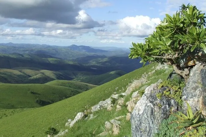 Der Barberton Greenstone Belt ist ein Gebirge in der südafrikanischen Provinz Mpumalanga und in Swasiland. Er gehört zu den Grünsteingürteln und erhebt sich bis zu 1800 Meter über dem Meeresspiegel. Er besteht aus Gesteinen, die zu den ältesten der Erdoberfläche gehören, und wird Genesis of Life (deutsch etwa: „Entstehung des Lebens“) genannt, weil dort die weltweit ältesten Spuren von Leben entdeckt wurden.