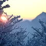 Auch mit dem strengen Morgenfrost ist es bald vorbei 