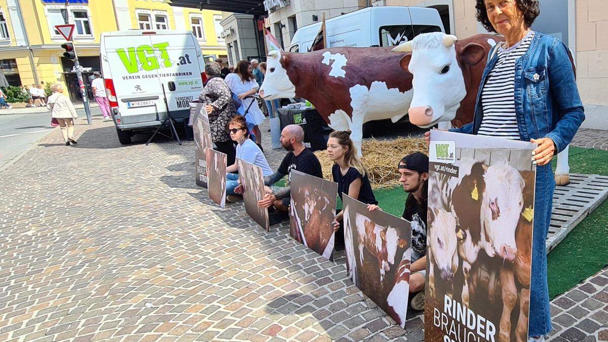 VGT-Aktion gegen Spaltenböden in der Rinderhaltung in Klagenfurt.