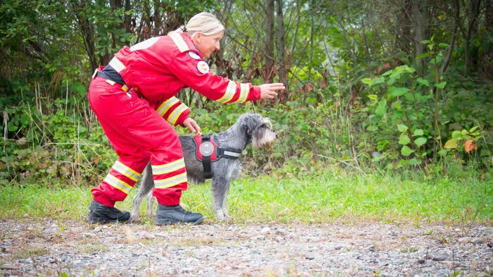 Mensch und Tier bilden bei der Rettungshundebrigade ein Team.