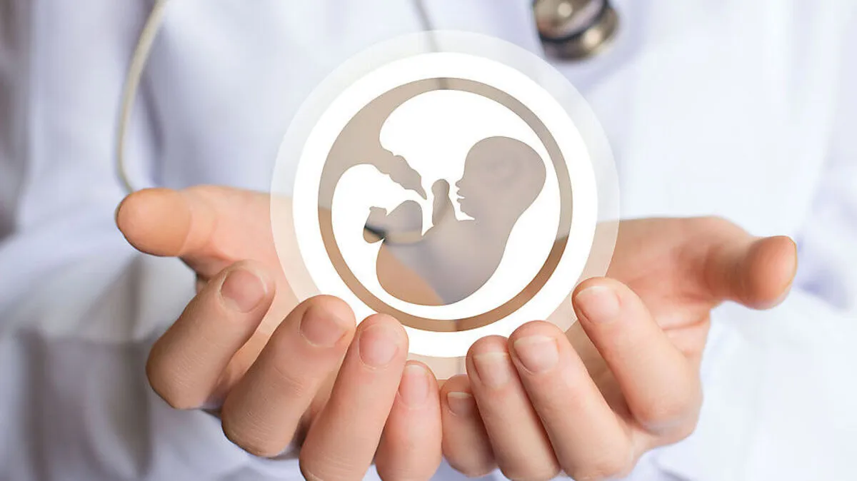 Icon of the embryo in the doctor´s hand.