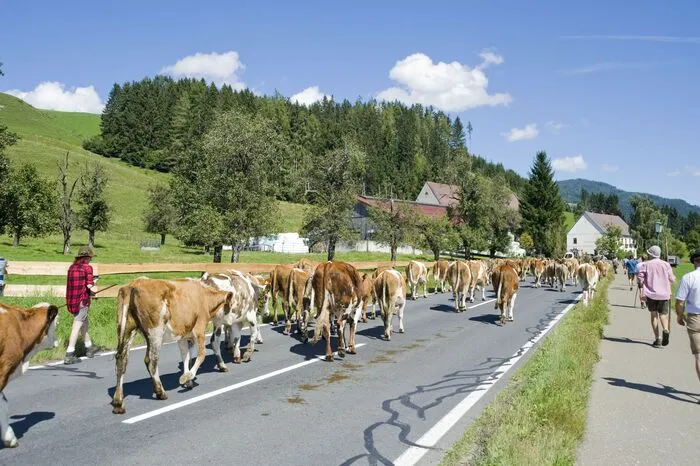 An die Besucher entlang des Weges wurden Rumpelnudel und Almsträußl verteilt. Musikalisch wurde die Ankunft von Pauli Schlaffer auf seiner Steirischen begleitet.