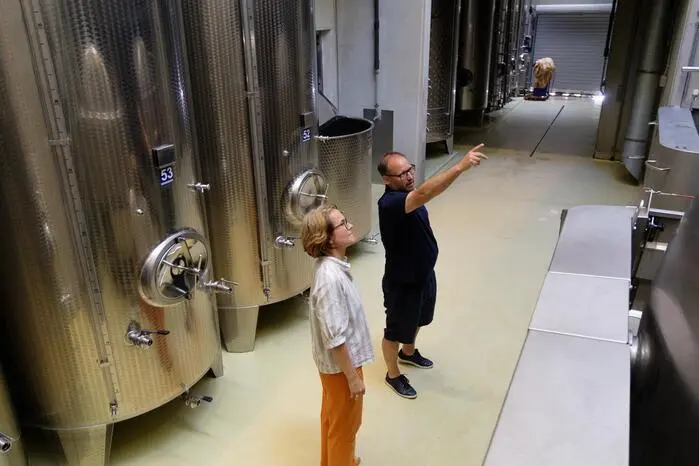 Von der Traube bis zur Flasche erklärten die Winzerinnen und Winzer ihre Philosophie, die Besonderheiten der Lagen und die sorgfältige Verarbeitung der edlen Tropfen