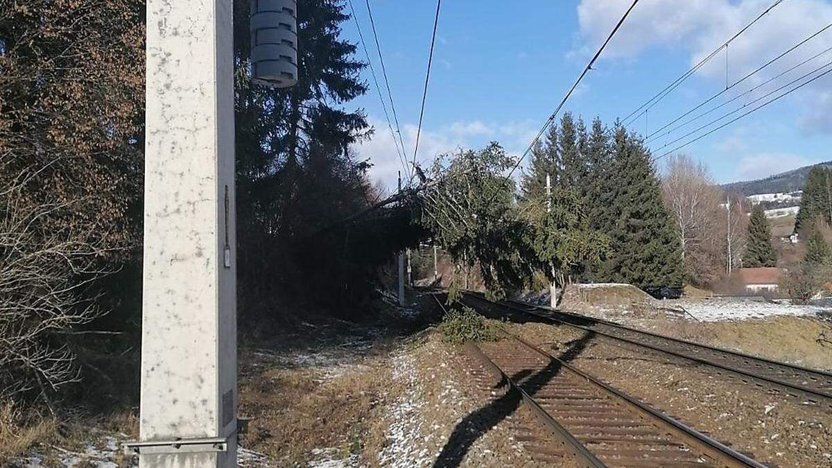 Bäume stürzten auf die Starkstromleitungen