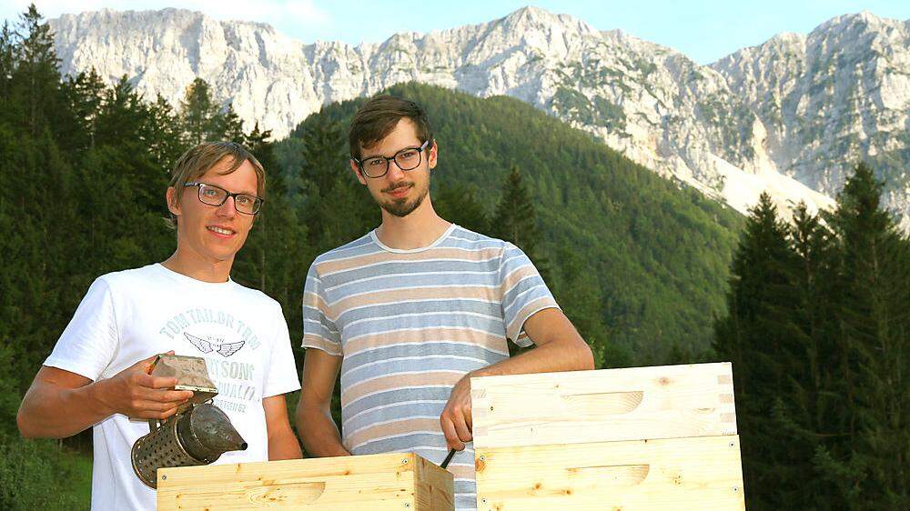 Tadej Čertov und Karl Maier sind die Erfinder der digitalen Bienenstockwaage 