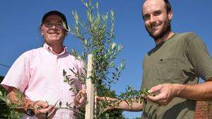 Die südsteirischen Olivenbauern Peter Skoff senior und junior
