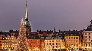 Kurze Tage, erhellte Nächte: Stockholm ist in Weihnachtsstimmung