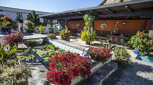 Eines der Gartenparadiese der Blumenolympiade 2018