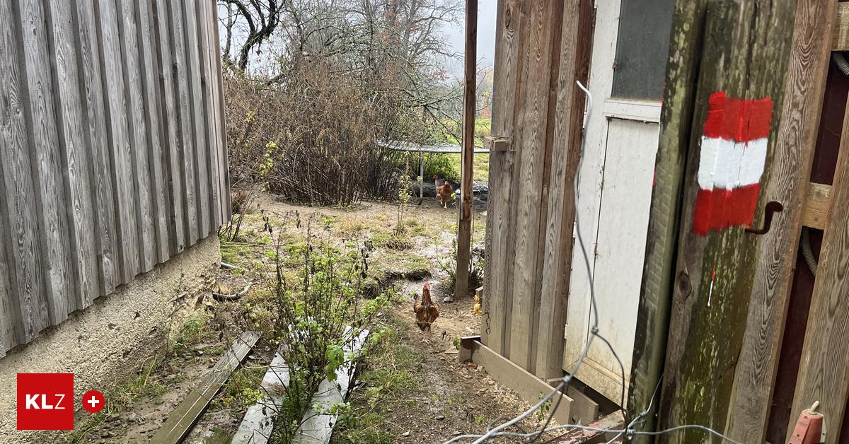 Kommentar-Weg-gesperrt-Prozess-verloren-Muss-man-sich-alles-gefallen-lassen-