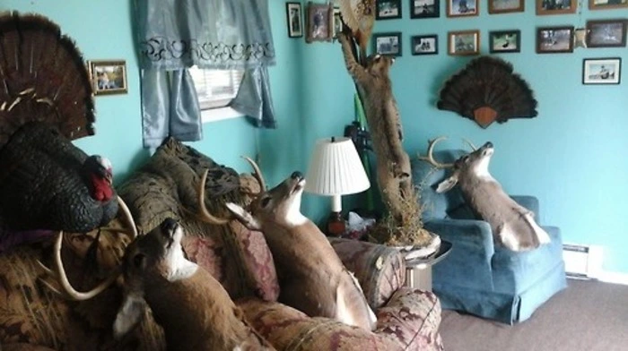 Was heute sehr unterhaltsam ist, entstand aus der Not heraus: Als Andy Donaldson vor ein paar Jahren selbst auf Wohnungssuche in London war und deshalb die gängigen Maklerportale durchforstete, machten ihn die teilweise skurrilen und amateurhaften Maklerfotos sprachlos, dass er beschloss, den Wahnsinn in einem Blog zu dokumentieren. Die Idee kam anscheinend zur rechten Zeit: Mittlerweile hat Donaldson Millionen von Fans – und ordnet seine Bilder bereits nach „künstlerischen Kriterien“ wie etwa "Wildlife".