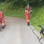 Fieberhaft wurde nach dem Vermissten gesucht